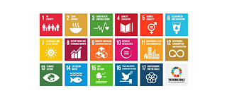 صورة لشعارات أهداف التنمية المستدامة السبعة عشر للأمم المتحدة