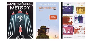 Německá literatura v českém jazyce v uplynulém roce