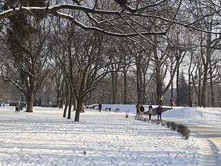 Winter in Lodz