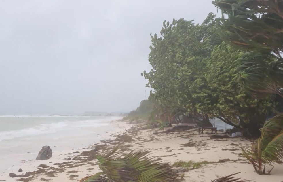 A beach during a storm with grey skies and trees bending over in the wind