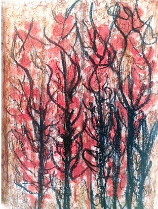 Desenho de Tarsila Costa