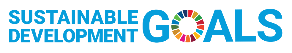 SDG Logo
