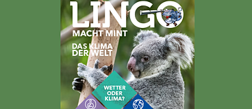 Lingo macht Mint Magazine