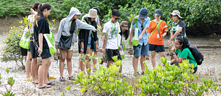A group of students looks at mangrove seedlings.