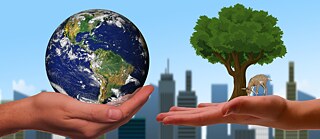 Nachhaltig, aber wie?