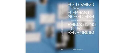 Susanna Hertrich | FOLLOWING THE ELEPHANT-NOSED FISH. Karsten Heller, DIAMONDPAPER