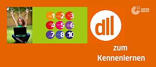 DLL-Einheiten in Printform, Frau mit Computer