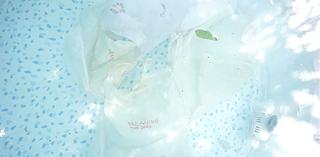 Belle Santos, Performance