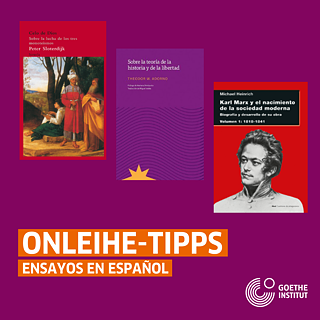 Onleihe-Tipps: Ensayos en español