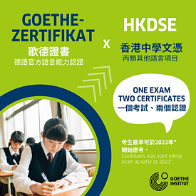 Goethe x DSE