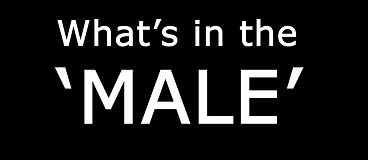 What’s in the ‘MALE’? image