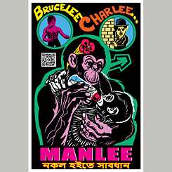 Bruce Lee Poster