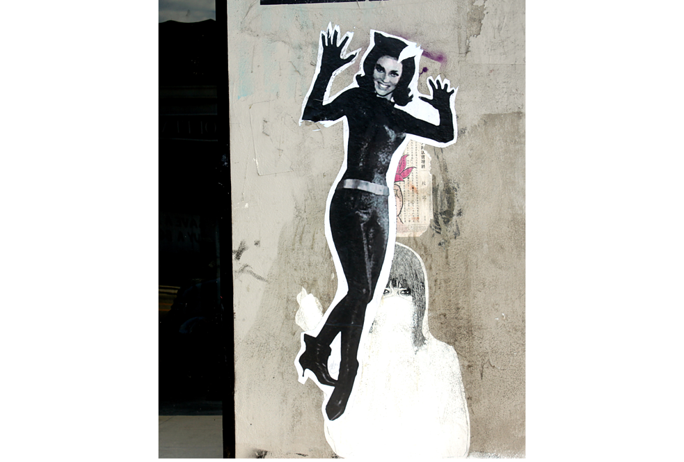 „Catwoman“ von M65