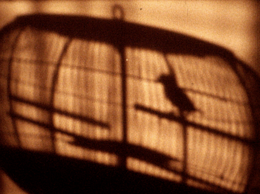 O Ofício Da Ilusão/ The Art of Delusion, Regie: Cláudia Varejão