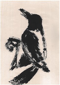 Bird looks to the left