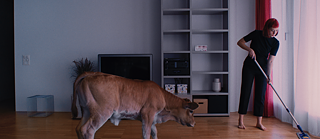 O primeiro passo foi dado, mas no próximo projeto os dois realizadores querem prestar ainda mais atenção à questão da diversidade. 