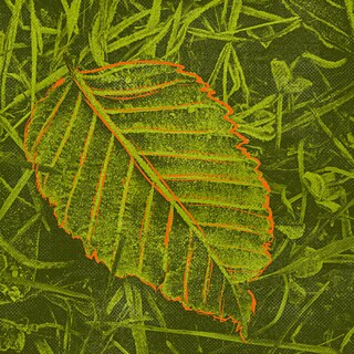 Gemeinsam für mehr Bildung für nachhaltige Entwicklung