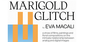 Marigold_Eva Macali