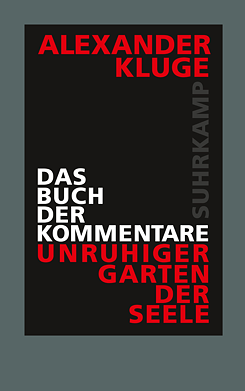 Das Buch der Kommentare... Unruhiger Garten der Seele
