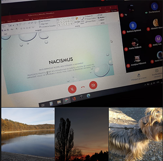 Ich verbringe Zeit am Computer und erledige Aufgaben. In meiner Freizeit spiele ich Ukulele oder gehe mit einem Hund spazieren.