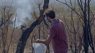 Mundano coletando cinzas