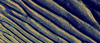 Geographies of Imagination: My Language is a Bedouin Thief by SAVVY Contemporary