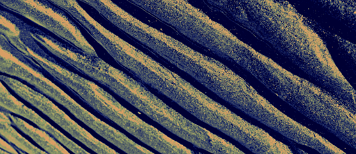 Geographies of Imagination: My Language is a Bedouin Thief  by SAVVY Contemporary