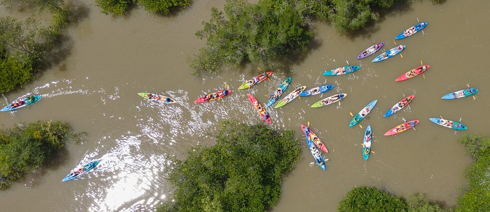 View from above of several kayaks on a river
