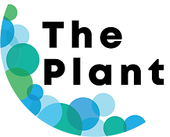 The Plant