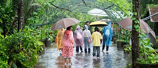 Eine Gruppe Menschen steht mit den Füßen im Wasser in einem tropischen Garten. Sie tragen Regenschirme.