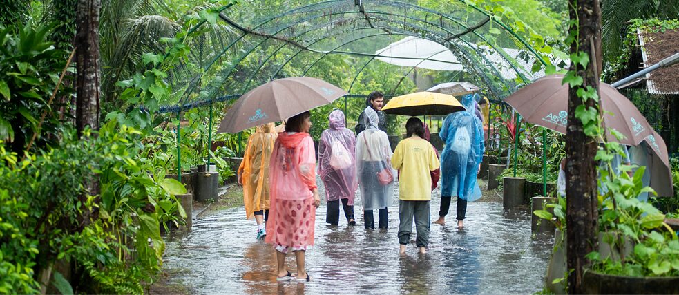 A group of people stand with their feet in the water in a tropical garden. They are carrying umbrellas.