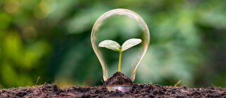 Sprechfertigkeit fördern durch Projektarbeit zu aktuellen Themen: Nachhaltigkeit