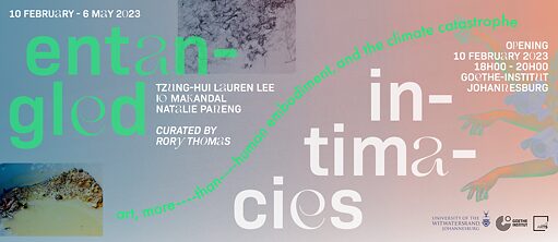 Text vor buntem Hintergrund mit einzelnen Aufnahmen