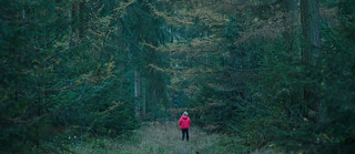 Systemsprenger (2019) and Aus dem nichts (2017)