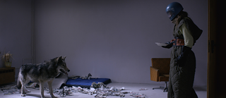 M-Eine Stadt sucht einen Mörder (1931) und Wild (2016)