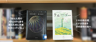 Book Cover_Paul Celan und der chinesische Engel_Kruso