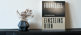Book cover: Einsteins Hirn