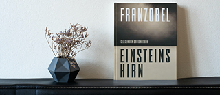 Buchcover: Einsteins Hirn