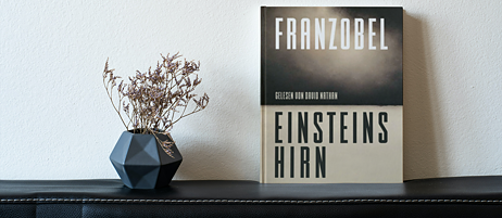 Buchcover: Einsteins Hirn