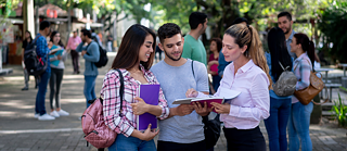 individual advisory for study