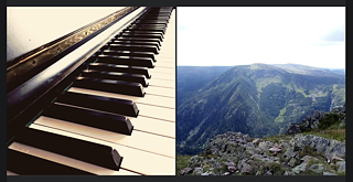 Meine Hobbys sind Zeichnen und Malen, Klavier spielen, Singen und Radfahren. Ich liebe auch das Wandern in den Bergen! Ich mag lesen und schwimmen. Ich spiele schon lange Klavier und kann immer noch Neues lernen. Die Musik ist wunderschön.