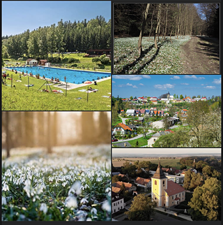 Hallo! Ich wohne im Dorf Sebranice, in der Nähe der Stadt Polička. Es ist ein ziemlich kleines Dorf, aber ich wohne gerne dort. Wir haben hier die Grundschule, den Kindergarten und die Kirche. Es gibt auch einen Swimmingpool und einen Tennispaltz. Dort gehe ich am liebsten. Im Sommer gibt es auch ein sehr gutes Eis.  Ich gehe auch gerne in die Natur im wald, der Hochwald genannt wirt. Am liebsten gehe ich das Schneeglöckchen-Tal.