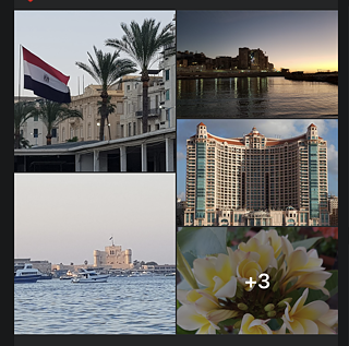 Ich lebe in Alexandria. Sie wird auch Braut des Mittelmeers genannt , weil sie die groBte kustenstadt  am Mittelmeer ist. Es hat eine Bevolkerung von 11,000,000 Menschen. Ich habe keinen lieblingsort darin , Allen lebeb es , weil es das land ist , wo ich geboren wurde 