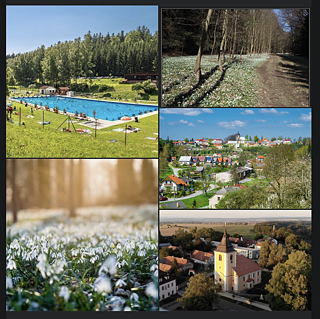 Hallo! Ich wohne im Dorf Sebranice, in der Nähe der Stadt Polička. Es ist ein ziemlich kleines Dorf, aber ich wohne gerne dort. Wir haben hier die Grundschule, den Kindergarten und die Kirche. Es gibt auch einen Swimmingpool und einen Tennispaltz. Dort gehe ich am liebsten. Im Sommer gibt es auch ein sehr gutes Eis.  Ich gehe auch gerne in die Natur im wald, der Hochwald genannt wirt. Am liebsten gehe ich das Schneeglöckchen-Tal.