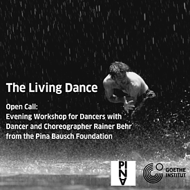 The Essence of Dance