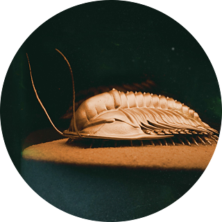 3D Printed Sculptures