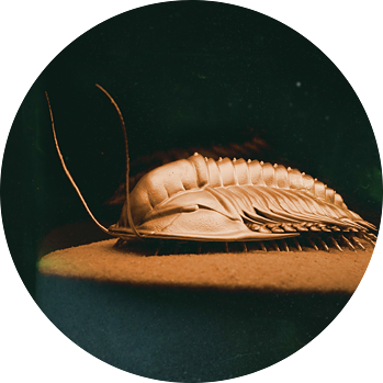 3d-gedruckte Skulpturen
