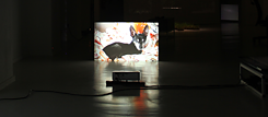 Video installation showing a small dog