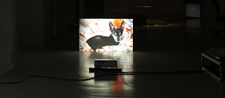 Video installation showing a small dog © © Patryk Kujawa Ashes to Dust