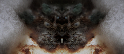 VR installation showing mutated animal